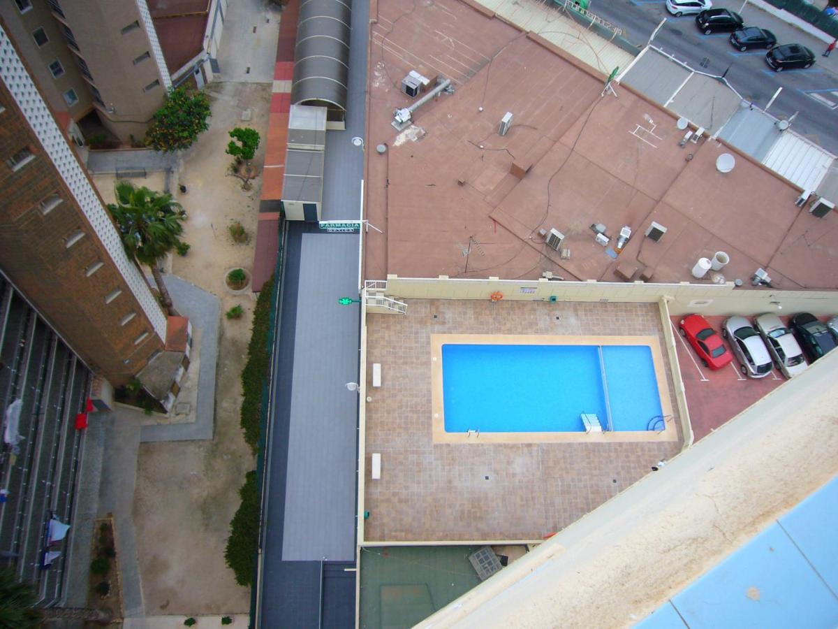 Apartament Zeus 16 If *